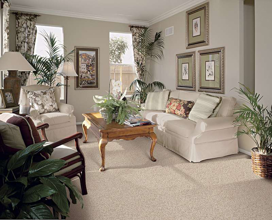 Royalty-Shaw carpeting from Flooring Outlet